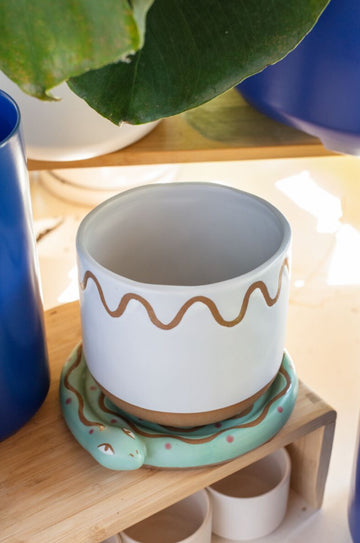 Snake Pot - Planter with Watering Saucer