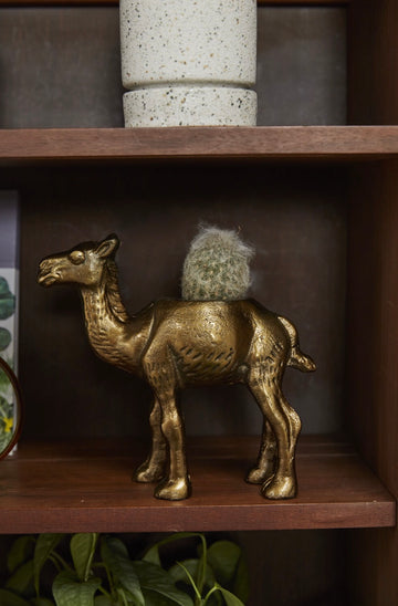 Camel Sculpture Planter