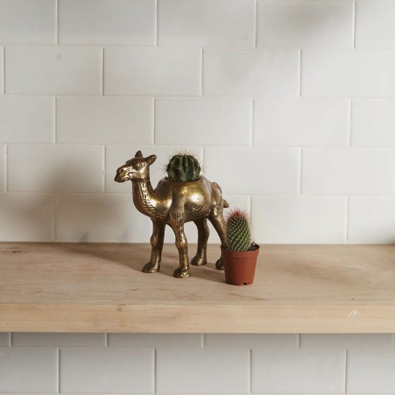 Camel Sculpture Planter