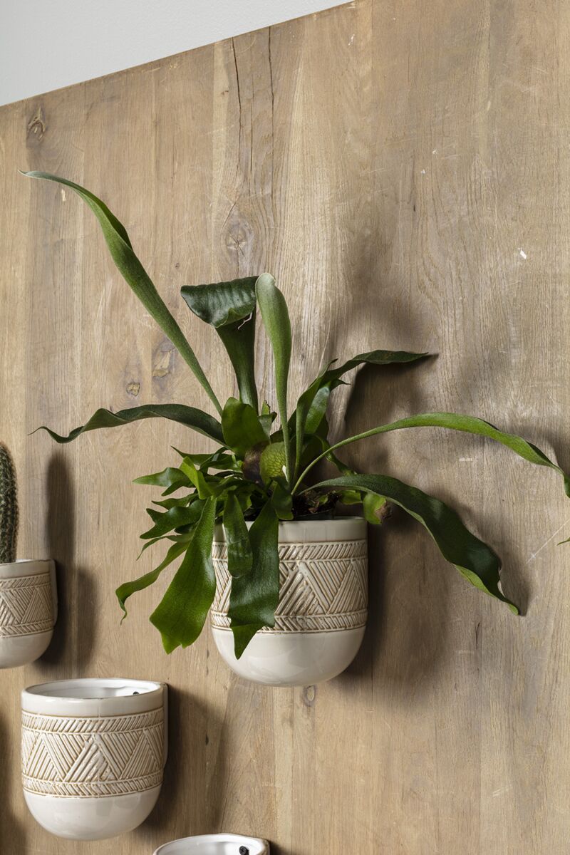 Park Slope Wall Planters