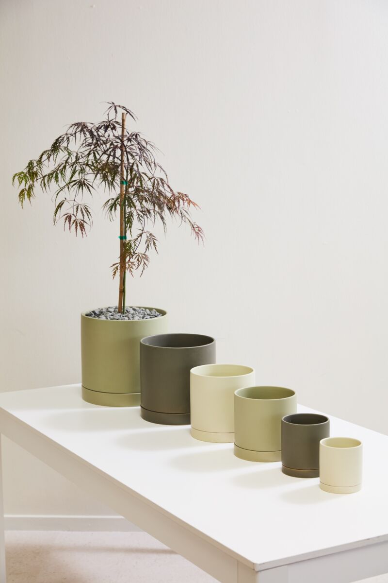 Avery Pot - Planter with Watering Saucer - Olive Green