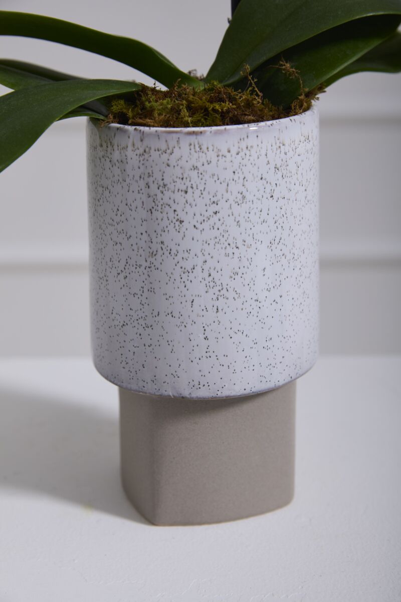 Lunora Planter