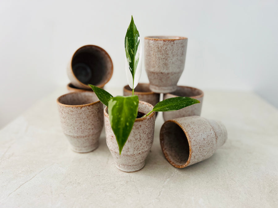 Noah Pot -Minimalist Decor - Available in Multiple Sizes