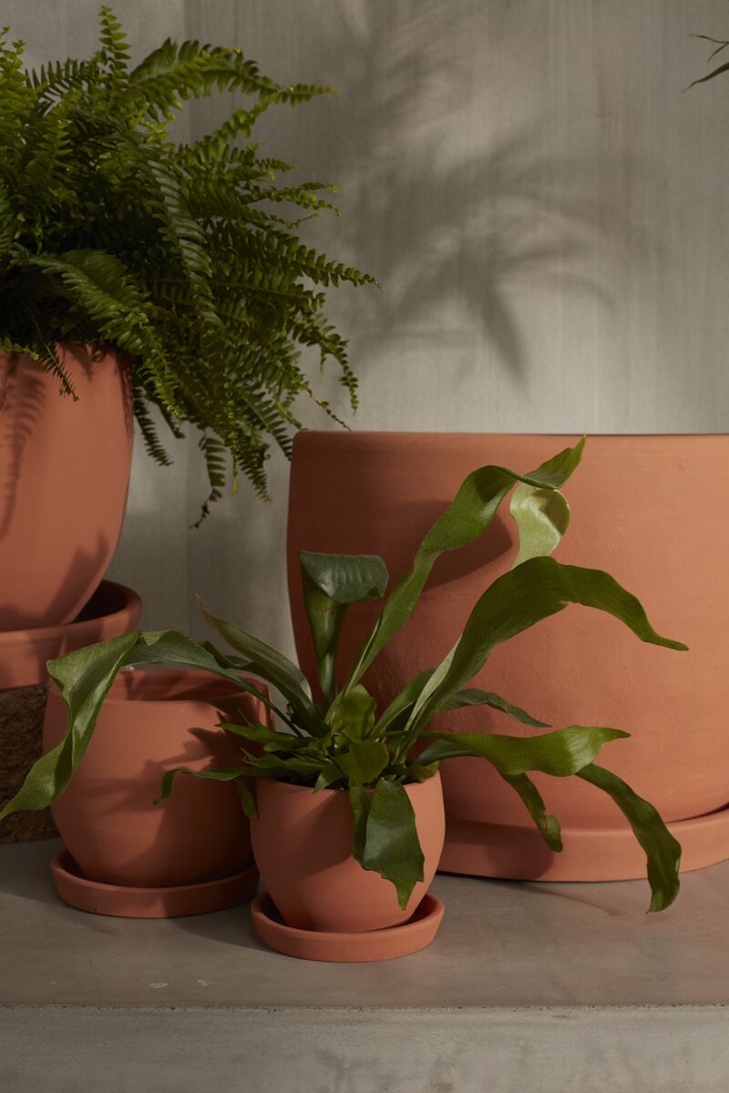 Mesa Planter - Multiple Sizes